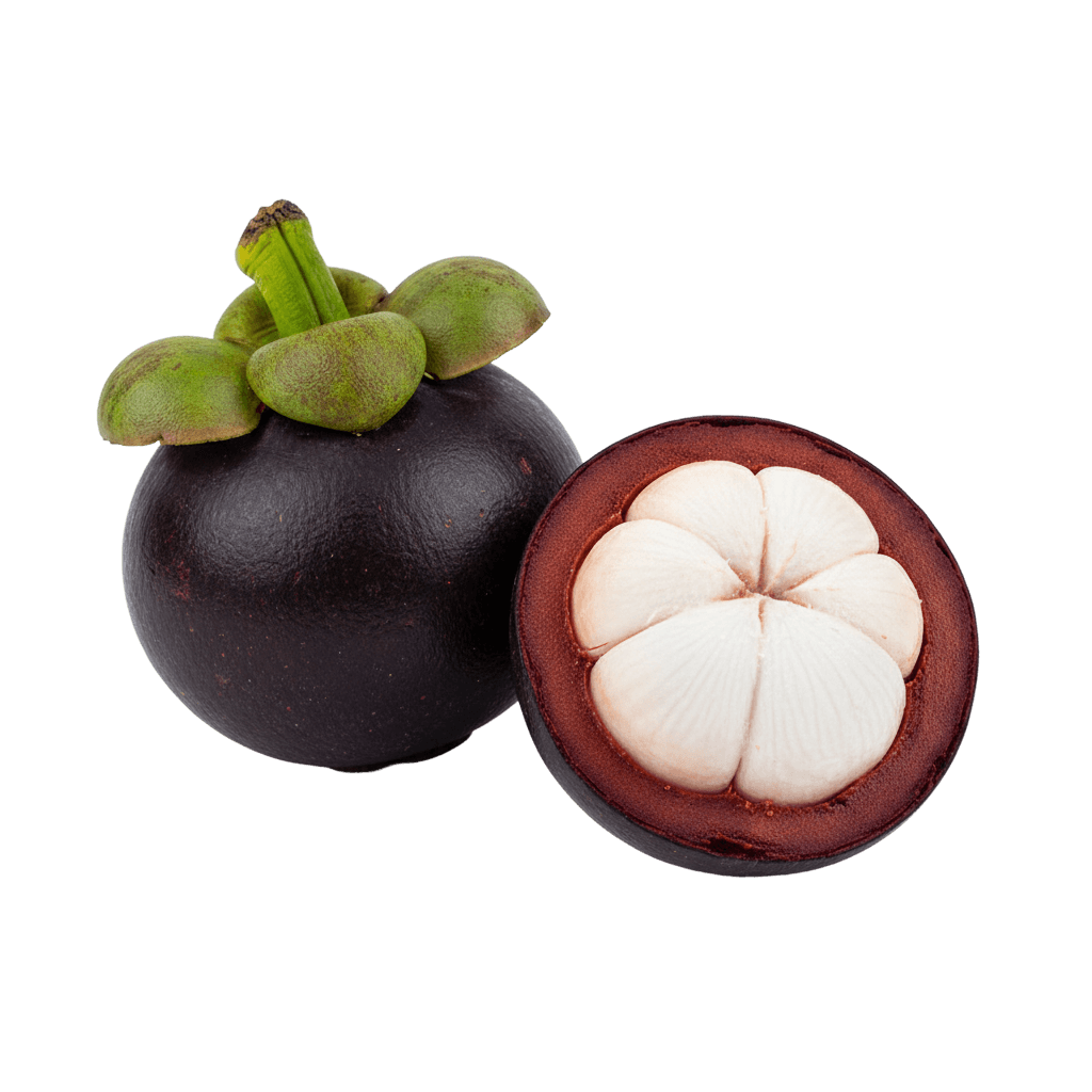 Mangosteen